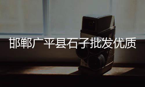鱼洞石子零售、天津白石子零售、红桥石子批发零售、宜宾石子零售电话
